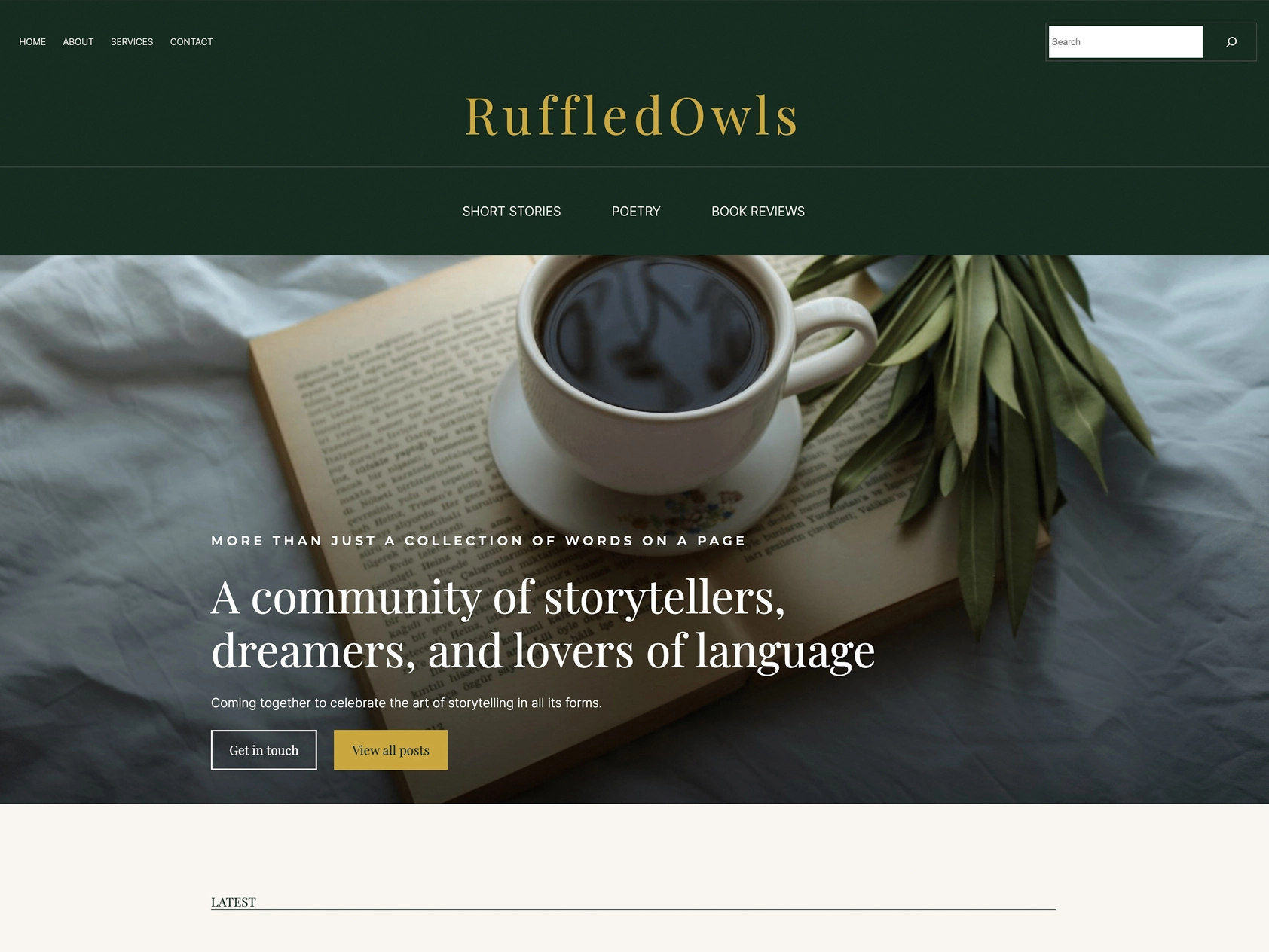 Web Design