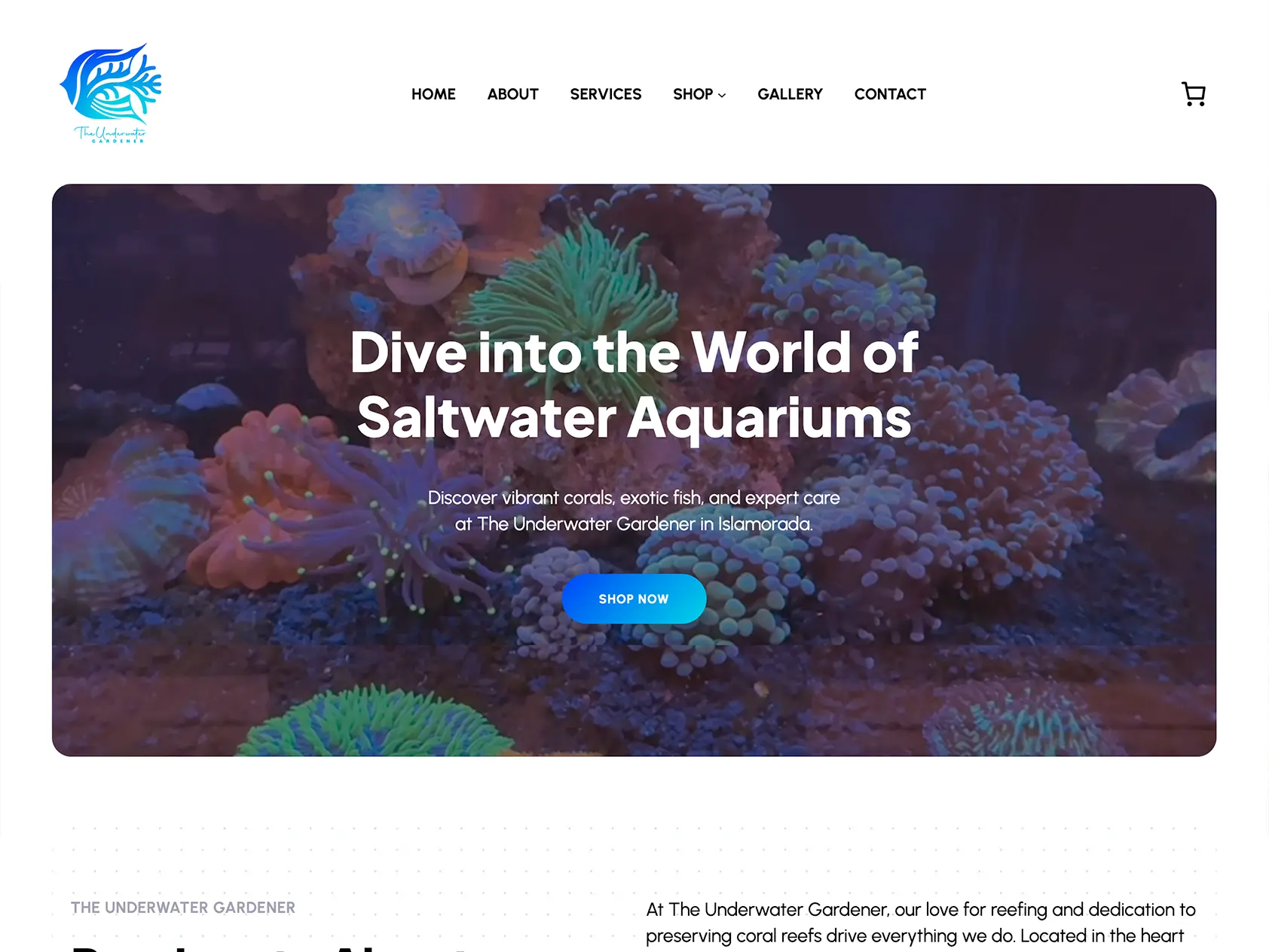 Web Design